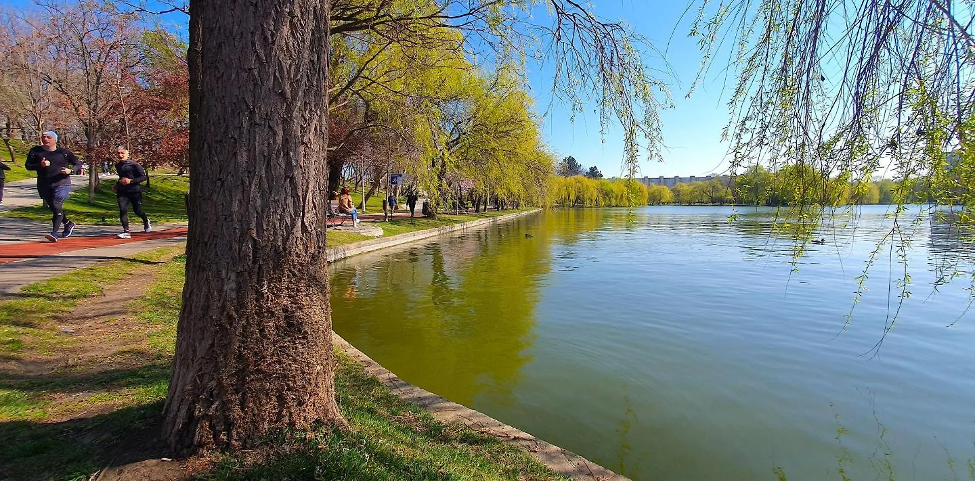 City Break Park Studio Bucureşti România