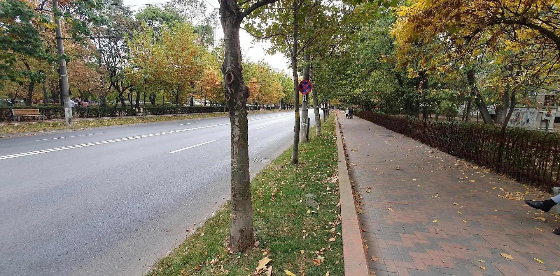 City Break Park Studio Bucureşti România
